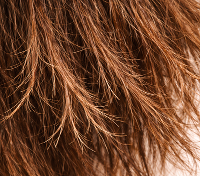 Cheveux secs, fourchus ou abîmés