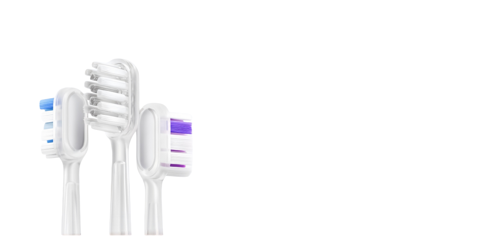 Têtes de brosse Laifen Wave